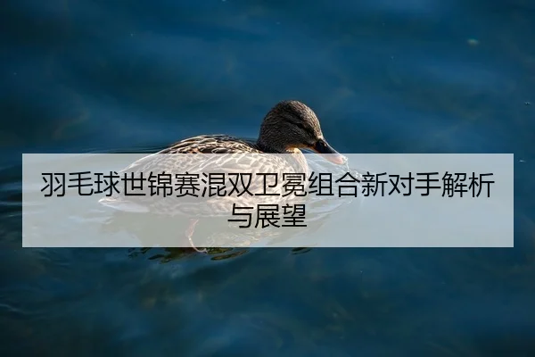 yu-mao-qiu-shi-jin-sai-hun-shuang-wei-mian-zu-he-xin-dui-shou-jie-xi-yu-zhan-wang-2-139.jpg